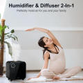 Large space suitable humidifier